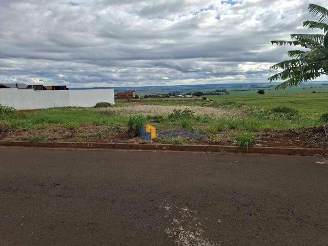 Terreno em Condomínio para Venda em Iguaraçu/PR Loteamento Villa Verde