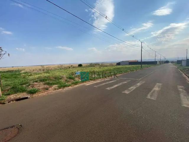 Terreno em Condomínio para Venda em Iguaraçu/PR Loteamento Villa Verde
