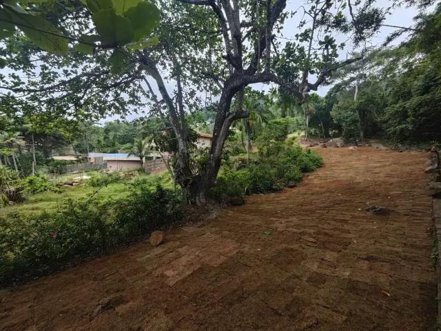 Terreno em Condomínio para Venda em Ilhabela/SP Pacuíba