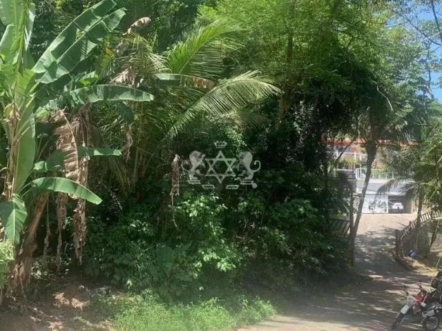 Terreno em Condomínio para Venda em Ilhabela/SP Siriuba