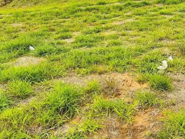 Terreno em Condomínio para Venda em Indaiatuba/SP Jardim Park Real