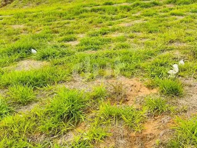 Terreno em Condomínio para Venda em Indaiatuba/SP Jardim Regente
