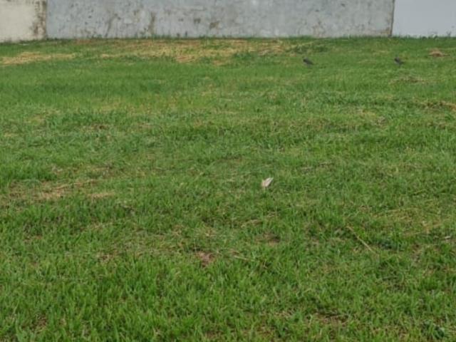 Terreno em Condomínio para Venda em Indaiatuba/SP Jardim Residencial Alto de Itaici