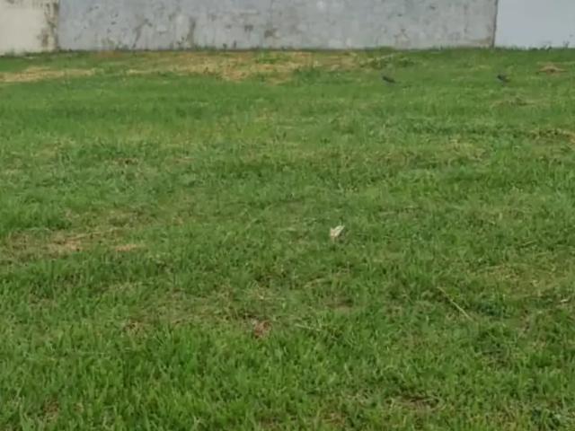 Terreno em Condomínio para Venda em Indaiatuba/SP Jardim Residencial Alto de Itaici