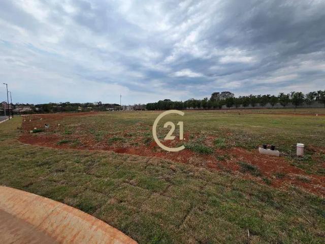 Terreno em Condomínio para Venda em Indaiatuba/SP Reserva Itanhangá