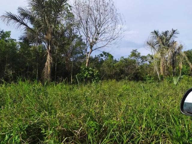 Terreno em Condomínio para Venda em Iranduba/AM Chácara Janauary 2