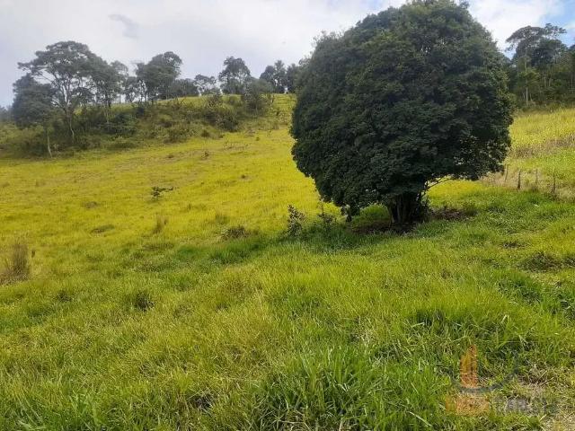 Terreno em Condomínio para Venda em Itaverava/MG Zona Rural