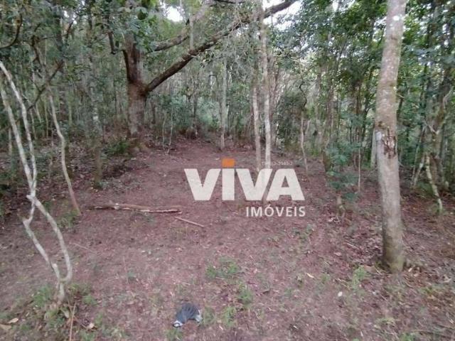 Terreno em Condomínio para Venda em Itajaí/SC Fazenda