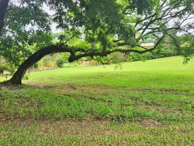 Terreno em Condomínio para Venda em Itu/SP City Castelo