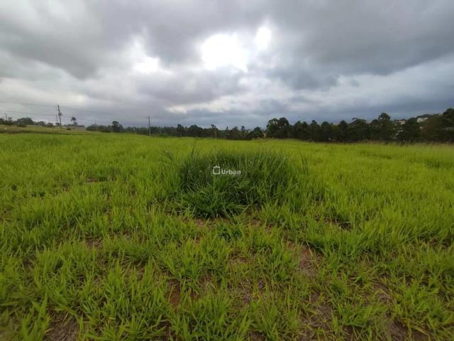 Terreno em Condomínio para Venda em Jandira/SP Jardim do Golf I
