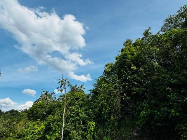Terreno em Condomínio para Venda em Jacareí/SP Chácaras Condomínio Recanto Pássaros II
