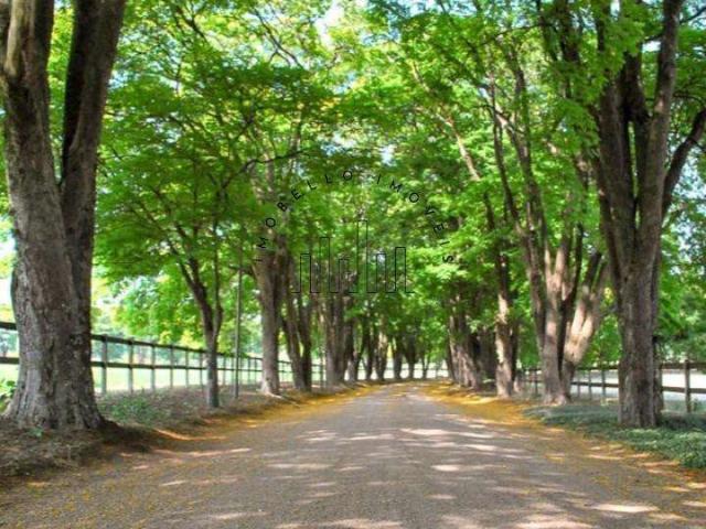 Terreno em Condomínio para Venda em Jaguariúna/SP Reserva Santa Izabel