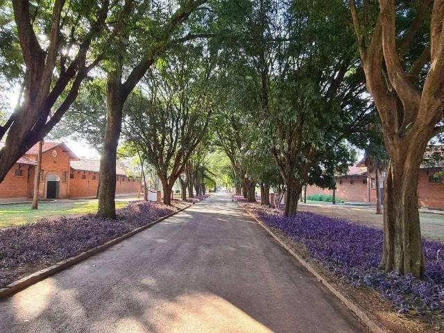 Terreno em Condomínio para Venda em Jaguariúna/SP Residencial Haras Patente
