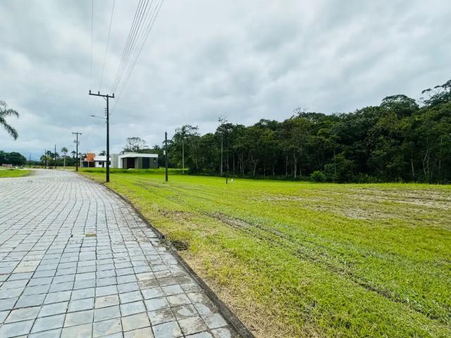 Terreno em Condomínio para Venda em Joinville/SC Vila Cubatão