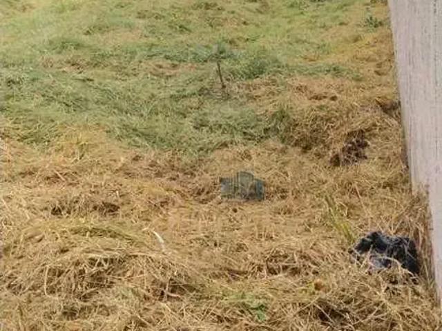 Terreno em Condomínio para Venda em Juiz de Fora/MG Aeroporto