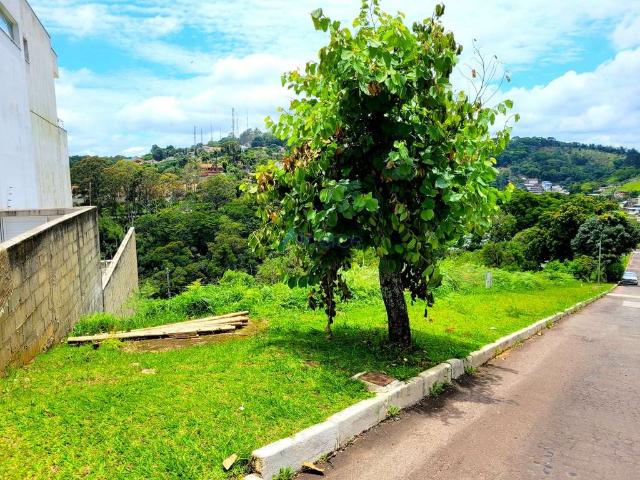 Terreno em Condomínio para Venda em Juiz de Fora/MG Granville