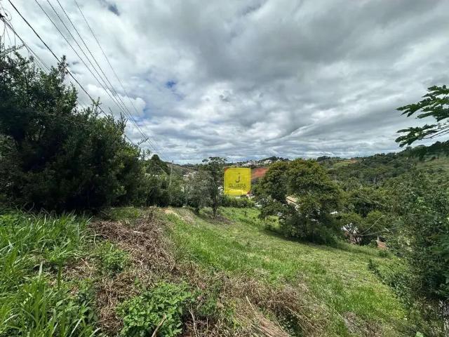 Terreno em Condomínio para Venda em Juiz de Fora/MG Novo Horizonte