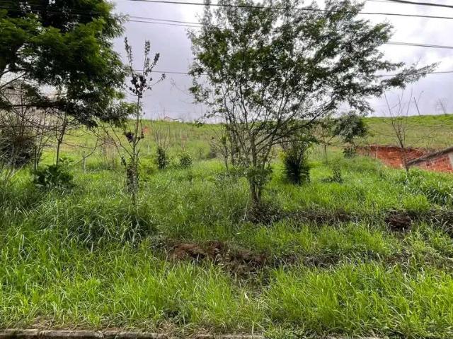 Terreno em Condomínio para Venda em Juiz de Fora/MG São Pedro
