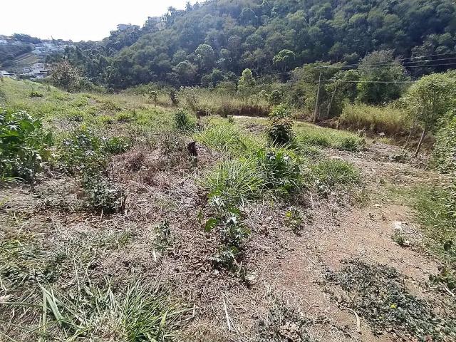 Terreno em Condomínio para Venda em Juiz de Fora/MG Salvaterra