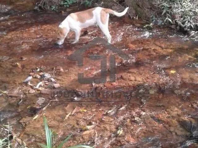 Terreno em Condomínio para Venda em Juquitiba/SP Centro