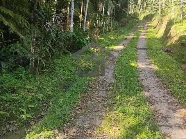 Terreno em Condomínio para Venda em Juquitiba/SP Centro