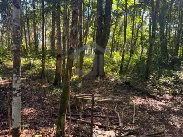 Terreno em Condomínio para Venda em Juquitiba/SP Centro