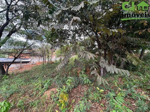 Terreno em Condomínio para Venda em Lagoa Santa/MG Lagoa Santa Park Residence