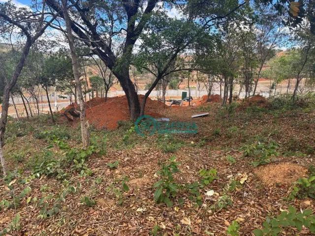 Terreno em Condomínio para Venda em Lagoa Santa/MG Lagoa Santa Park Residence