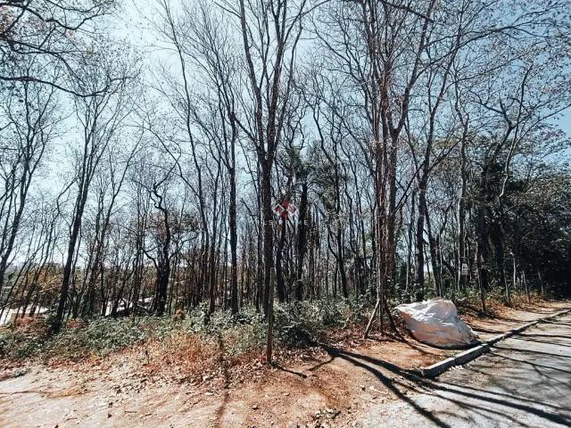 Terreno em Condomínio para Venda em Lagoa Santa/MG Palmital