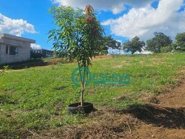 Terreno em Condomínio para Venda em Lagoa Santa/MG Residencial Champagne