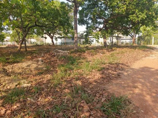 Terreno em Condomínio para Venda em Lagoa Santa/MG Veredas Da Lagoa