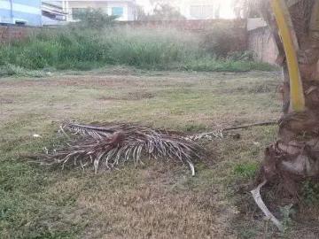 Terreno em Condomínio para Venda em Lauro de Freitas/BA Buraquinho