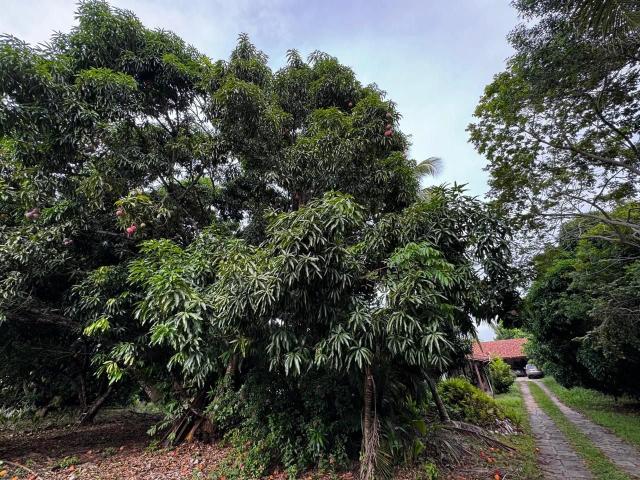Terreno em Condomínio para Venda em Lauro de Freitas/BA Encontro das Águas