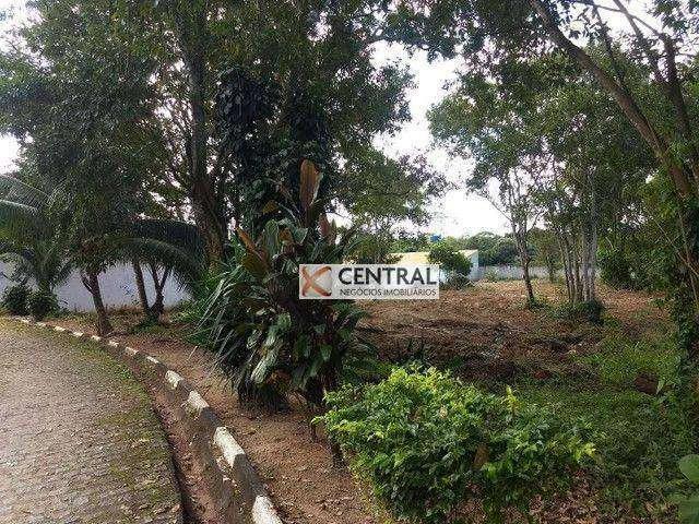 Terreno em Condomínio para Venda em Lauro de Freitas/BA Portão