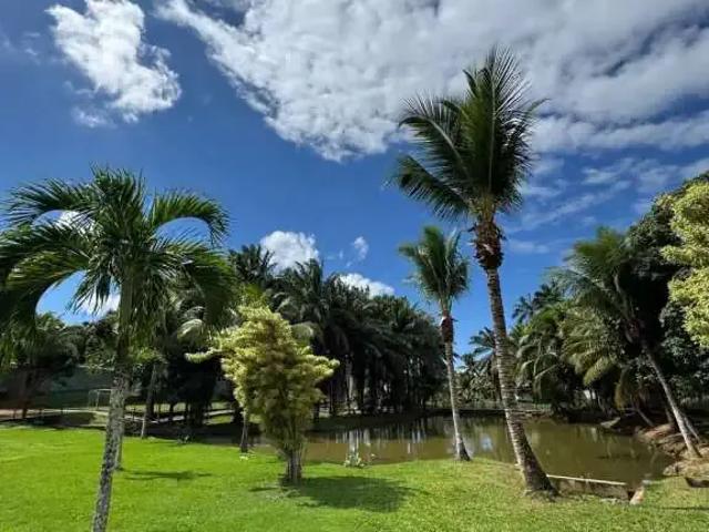 Terreno em Condomínio para Venda em Lauro de Freitas/BA Portão