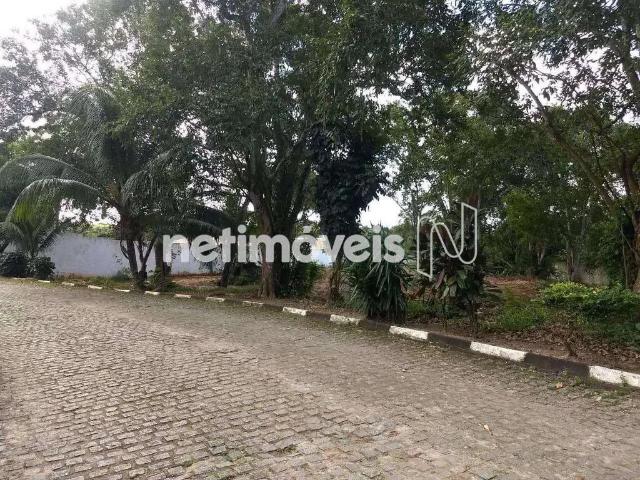 Terreno em Condomínio para Venda em Lauro de Freitas/BA Portão