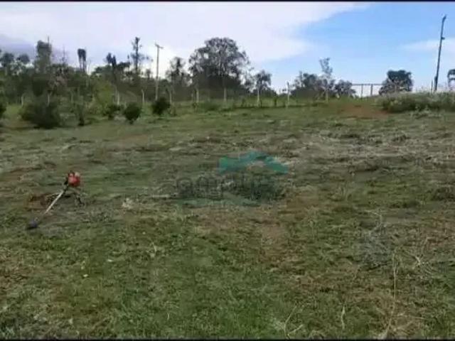 Terreno em Condomínio para Venda em Londrina/PR Limoeiro