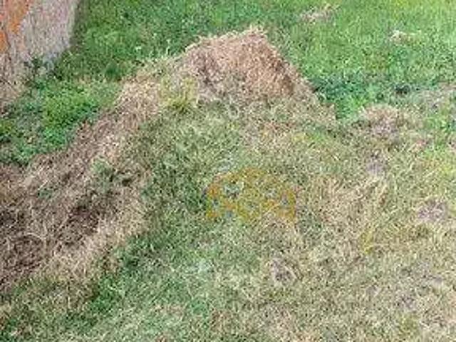 Terreno em Condomínio para Venda em Louveira/SP Condomí­nio Picollo Villaggio