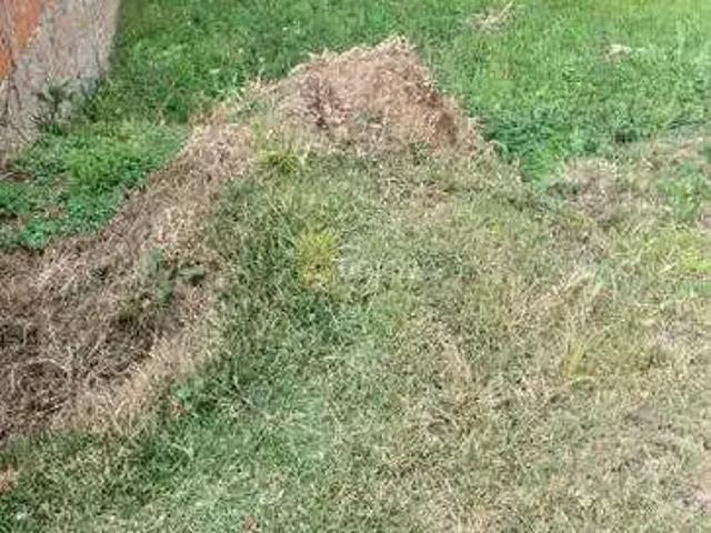 Terreno em Condomínio para Venda em Louveira/SP Condomí­nio Picollo Villaggio