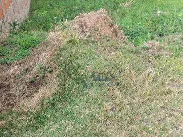 Terreno em Condomínio para Venda em Louveira/SP Vilagge Capricio
