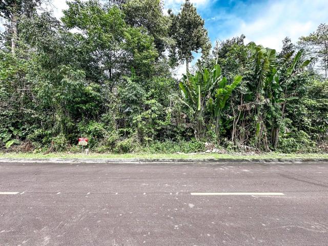 Terreno em Condomínio para Venda em Manaus/AM Ponta Negra
