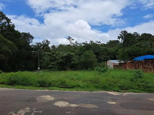 Terreno em Condomínio para Venda em Manaus/AM Ponta Negra