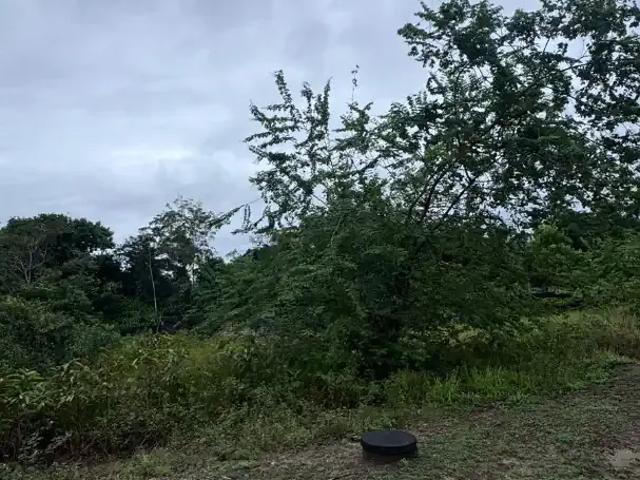 Terreno em Condomínio para Venda em Manaus/AM Ponta Negra