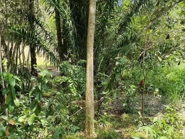 Terreno em Condomínio para Venda em Macaé/RJ Nova Cidade