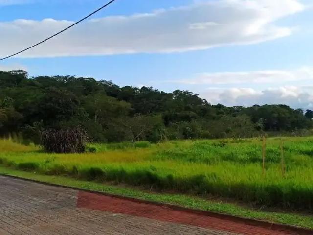 Terreno em Condomínio para Venda em Macaé/RJ Aroeira