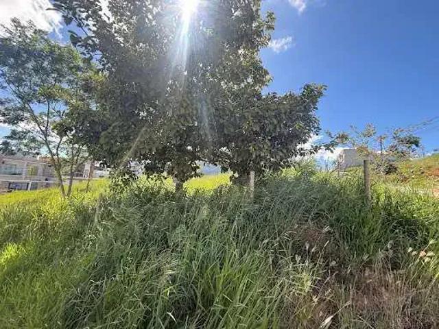 Terreno em Condomínio para Venda em Macaé/RJ Vale das Palmeiras