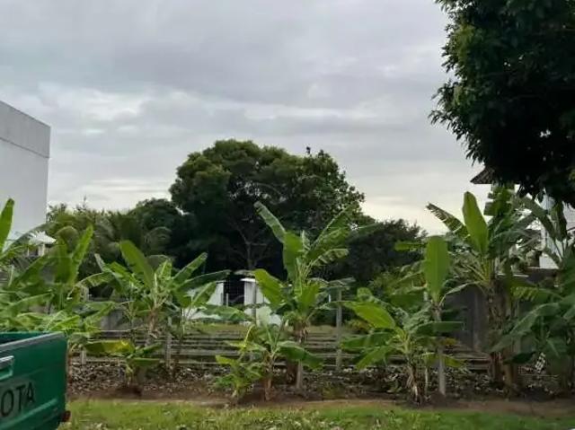 Terreno em Condomínio para Venda em Maceió/AL Serraria