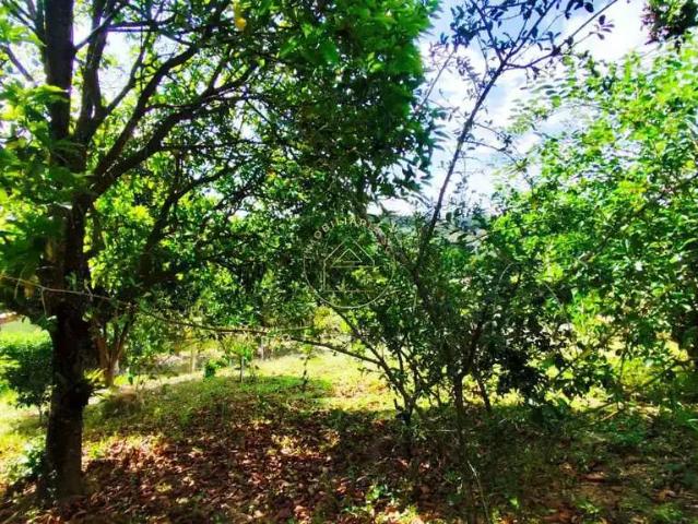 Terreno em Condomínio para Venda em Mairinque/SP Dona Catarina