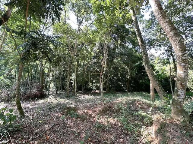 Terreno em Condomínio para Venda em Mairinque/SP Dona Catarina