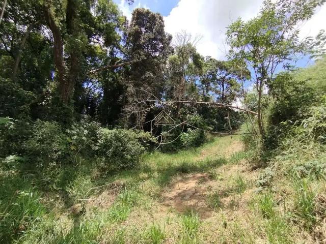 Terreno em Condomínio para Venda em Mairinque/SP Dona Catarina